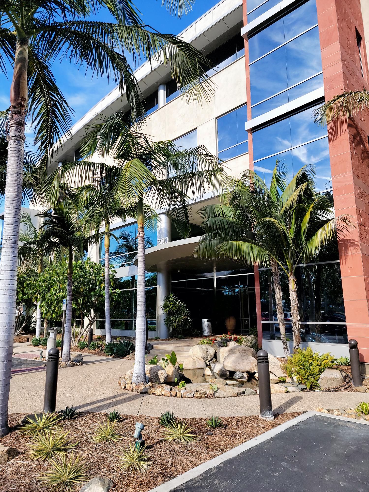 front of a office building with palm trees